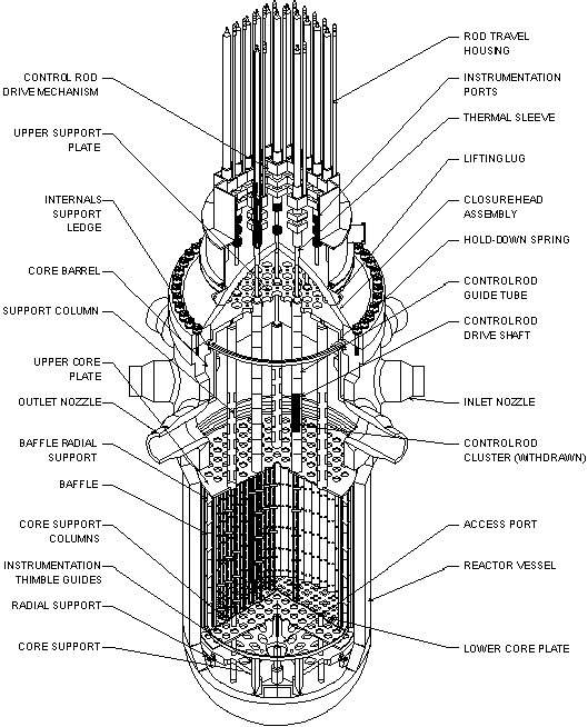 drawing of a reactor of a PWR plant